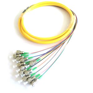 12Core FC/APC Singlemode Fiber Optic Pigtails With Outer Jacket