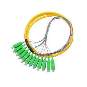 12Core SC/APC Singlemode Fiber Optic Pigtails With Outer Jacket