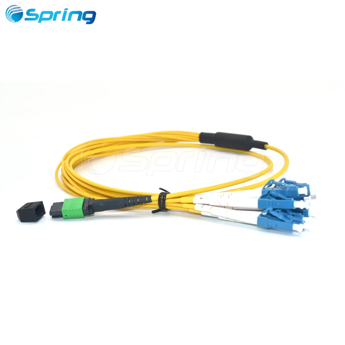 MPO 12 breakout cable