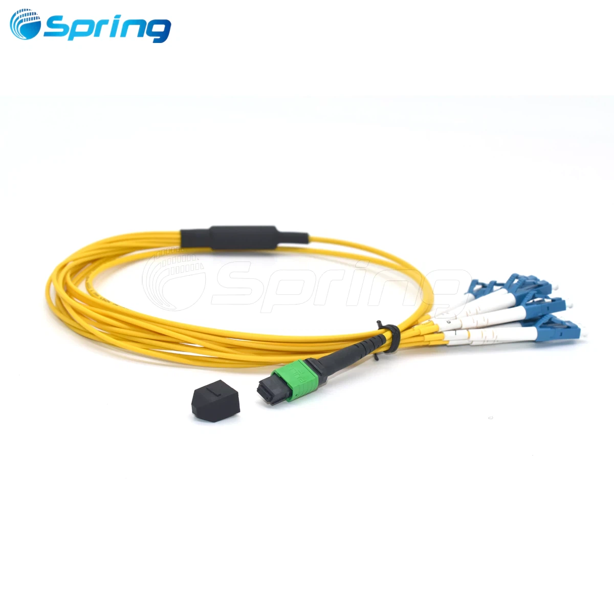 MPO/MTP harness cable