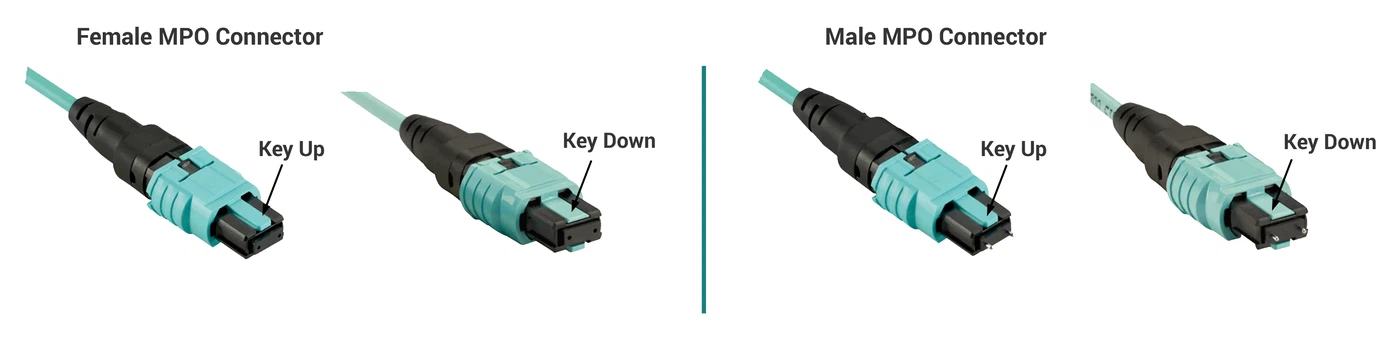Female MPO Connector and Male MPO Connector Female MPO Connector and Male MPO Connector
