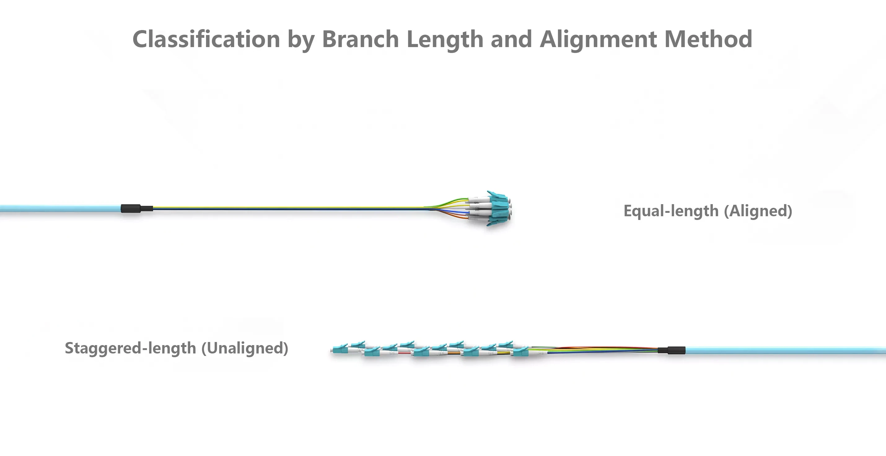 MPO Fiber Optic Cable Classification by Branch Length and Alignment Method MPO Fiber Optic Cable Classification by Branch Length and Alignment Method