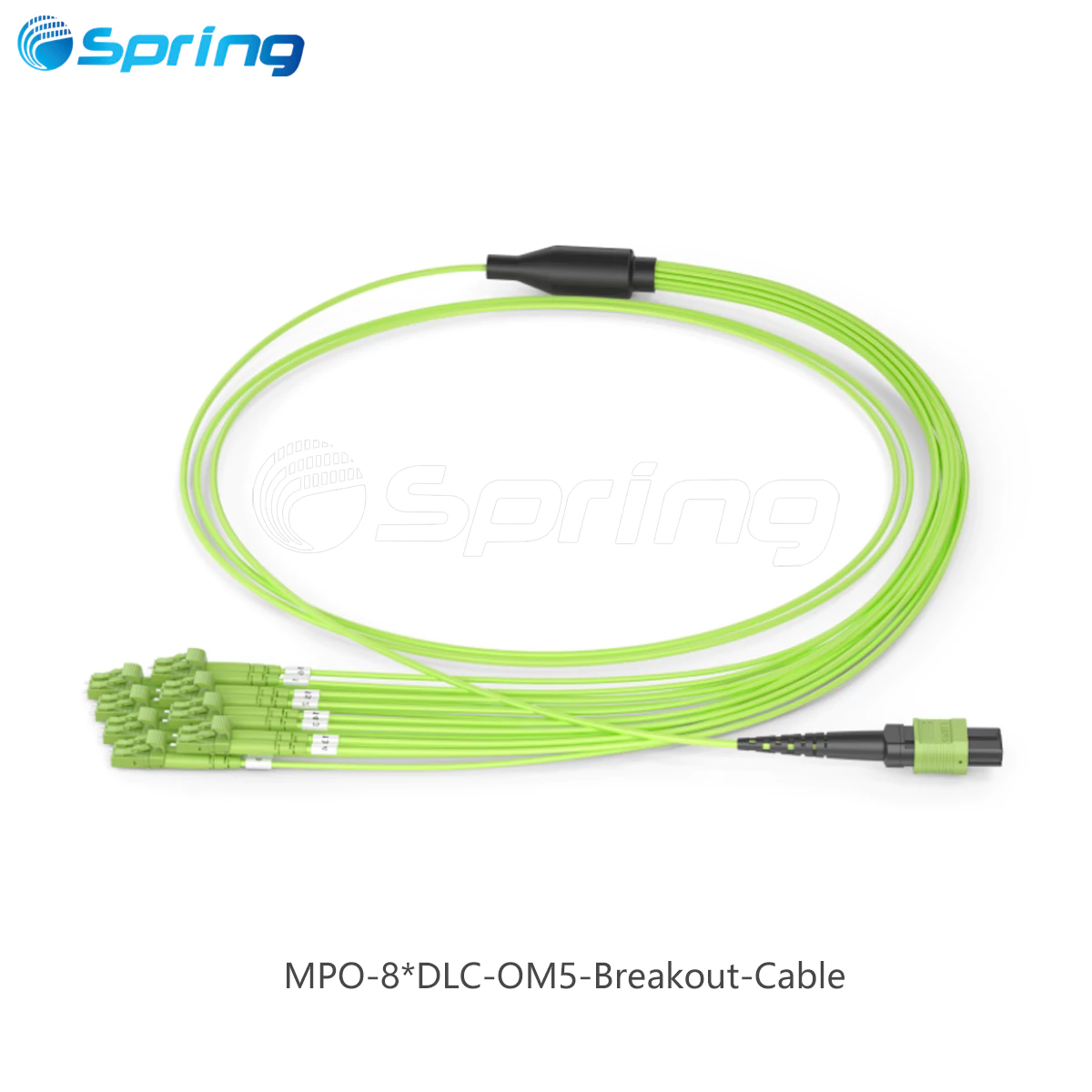 MPO-to-DLC-OM5-breakout-cable MPO-to-DLC-OM5-breakout-cable