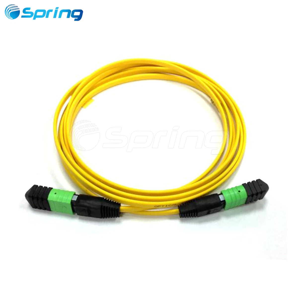 MTP/MPO Singlemode 3.0Mm Trunk Cable Patch Cord