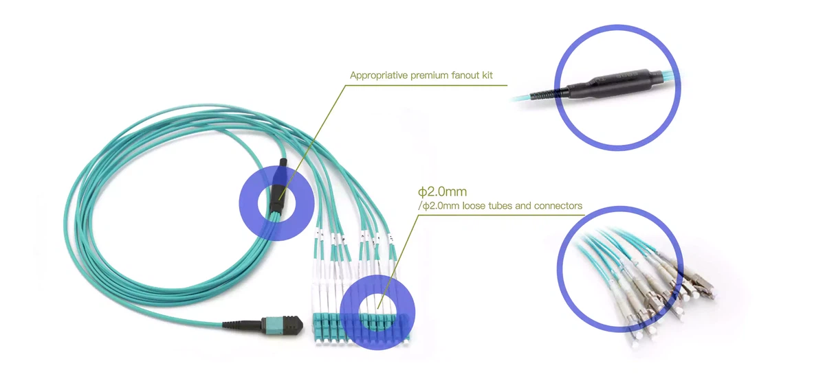 MPO MTP Fanout Patch Cord Diagram MPO MTP Fanout Patch Cord Diagram