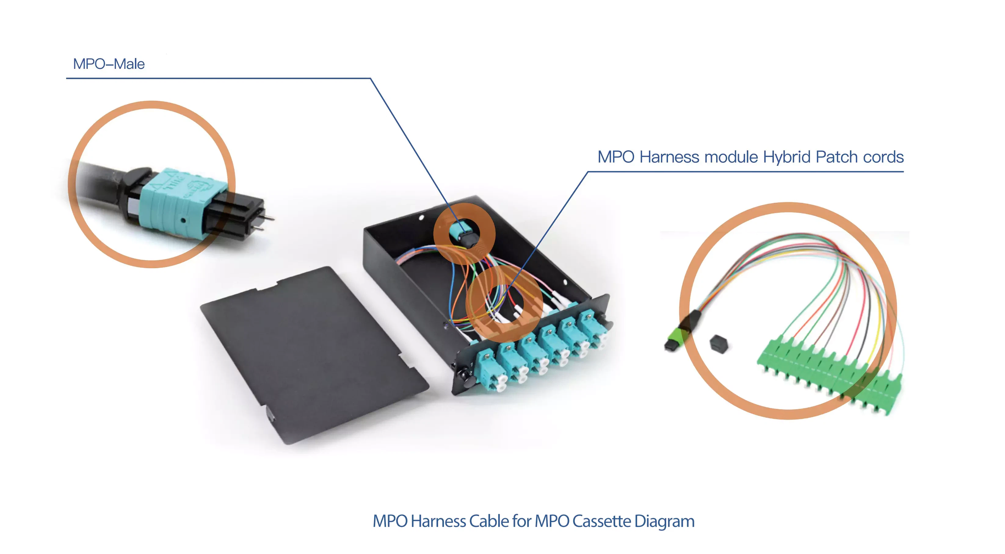 MPO Harness Cable for MPO Cassette Diagram MPO Harness Cable for MPO Cassette Diagram