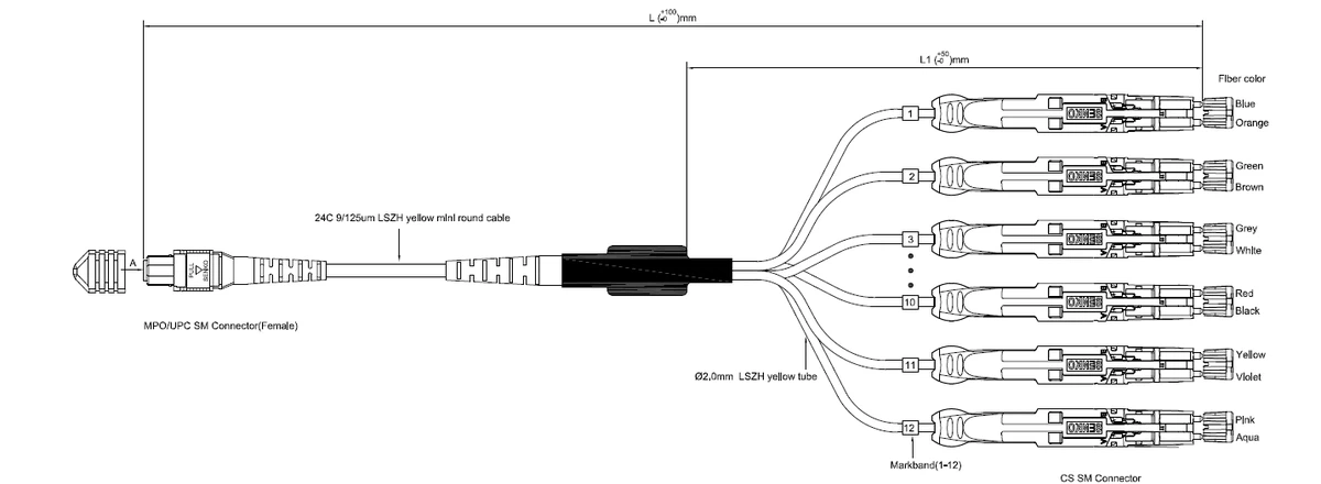 MPO to CS Fanout Cables MPO to CS Fanout Cables