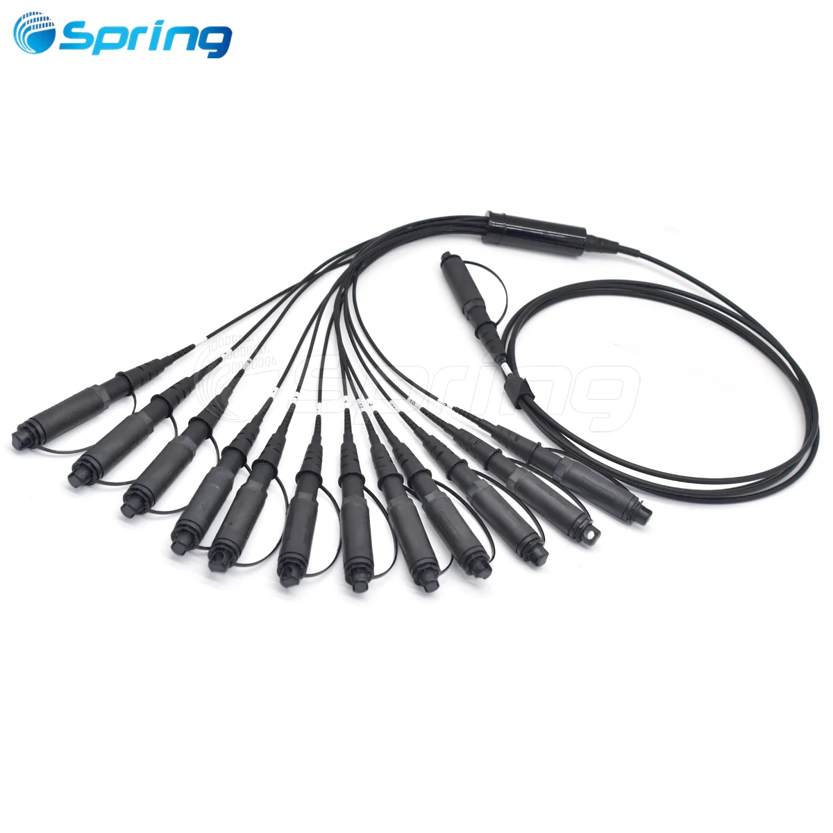 Flexible Service Terminal (FST) Squid Splitter